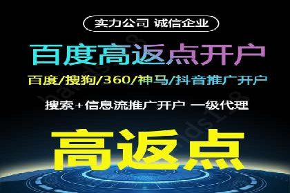 深度解析：百度推广代理的运营策略与效果