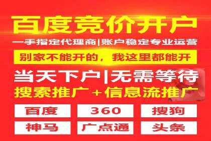 某旅游网站SEM优化案例：如何吸引目标用户